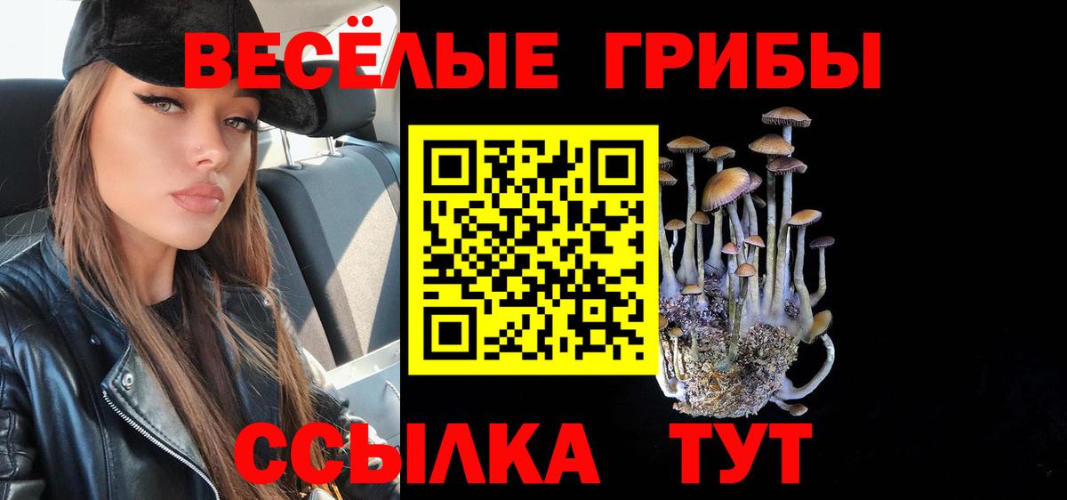 Галлюциногенные грибы Magic Shrooms  Псилоцибиновые грибы Cubensis  где можно купить   Вход с VPN  Малоярославец 