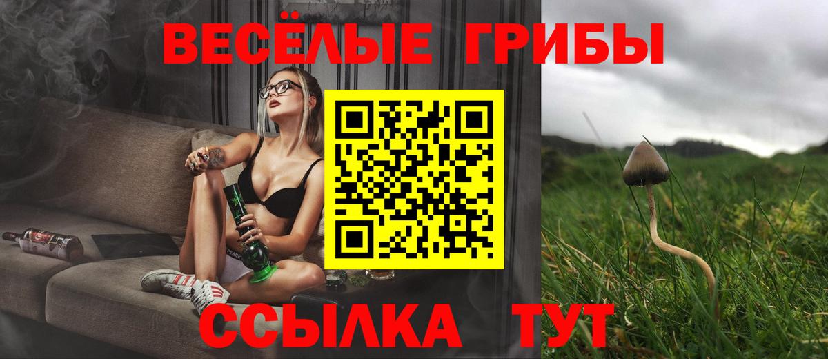 Галлюциногенные грибы Magic Shrooms Малоярославец